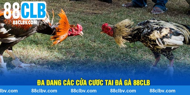 Đa dạng các cửa cược tại đá gà 88CLB